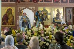 Божественная Литургия на праздник Успения Божией матери 2015 год. Великий Вход