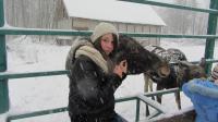 Со взрослыми лосями